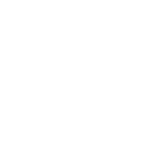 Expert Support Icon